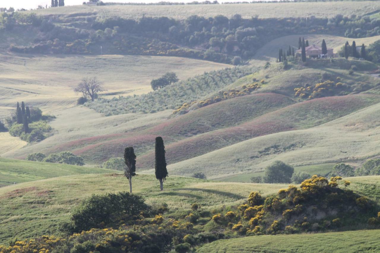 Cantagalli Bauernhof San Quirico dʼOrcia