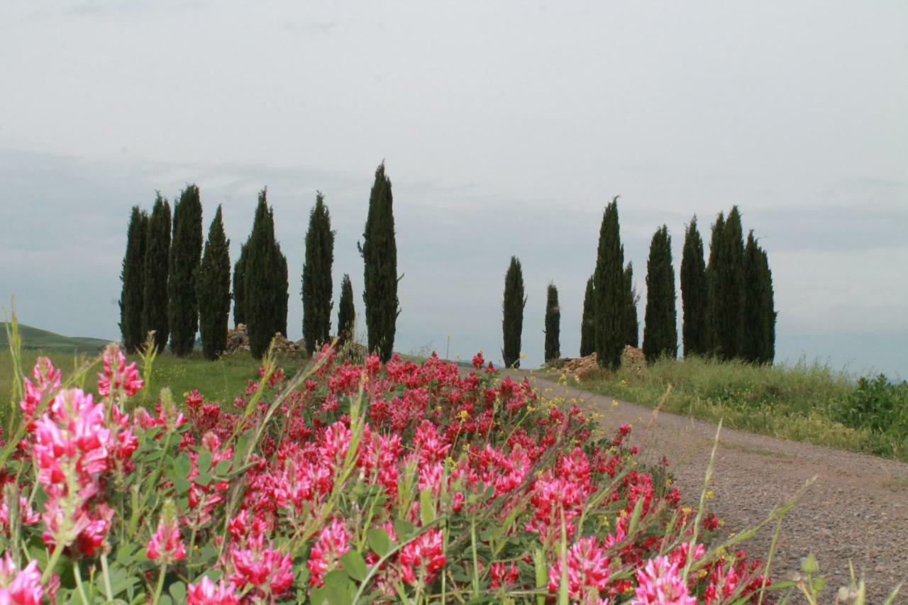 Agroturismo Cantagalli